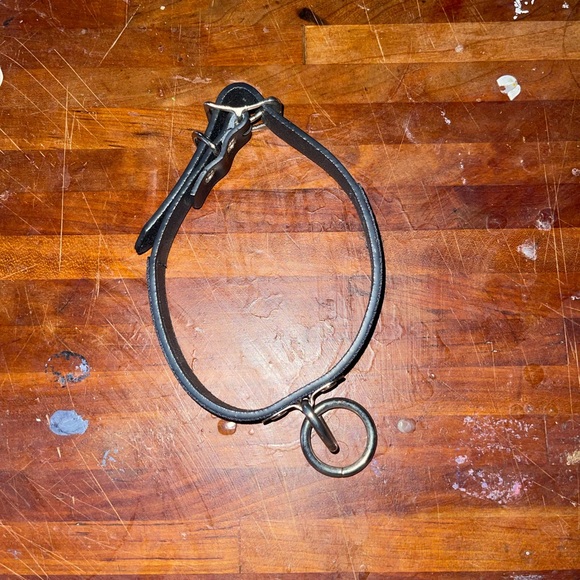 Sexy Collar - Picture 6 of 8